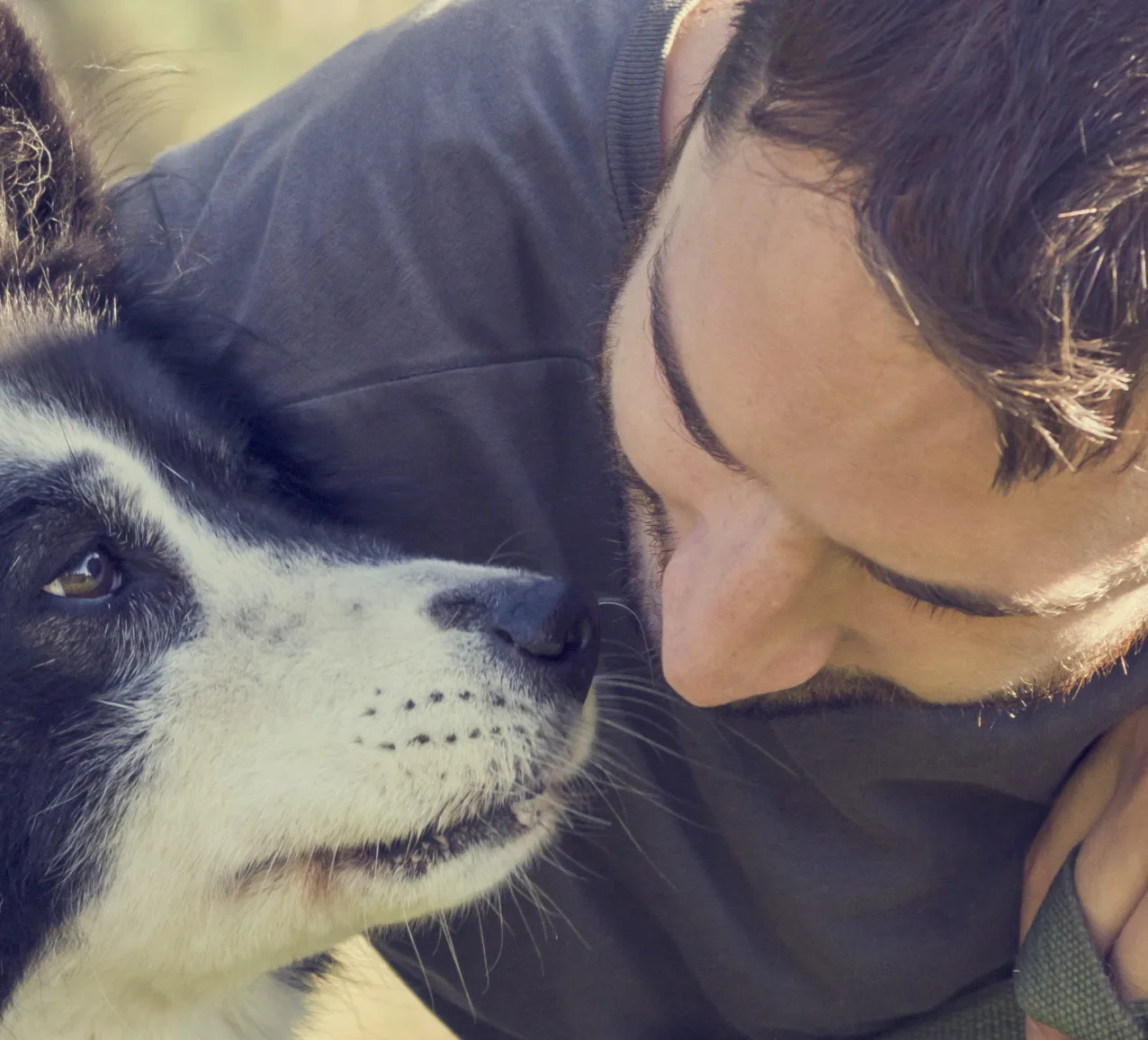 Trainer schaut seinem Hund im Einzeltraining tief in die Augen