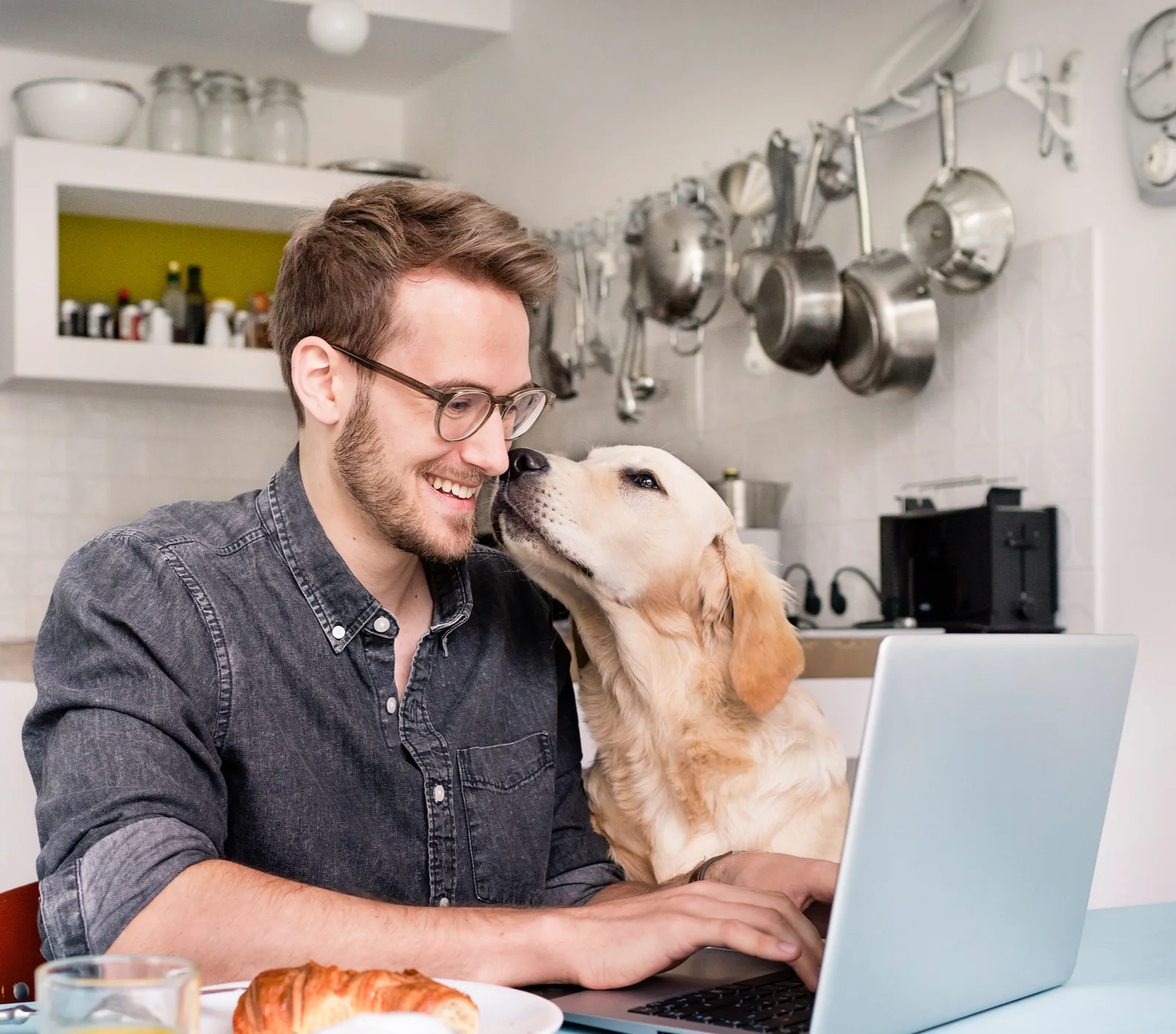 Im Online-Seminar leckt ein Hund seinen Halter ab